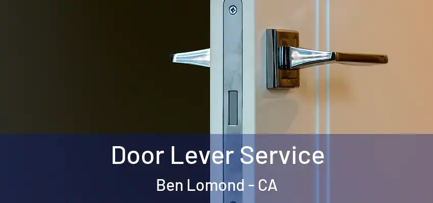  Door Lever Service Ben Lomond - CA