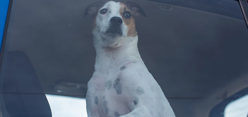 Car Lockout Solutions in Ben Lomond, California