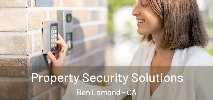  Property Security Solutions Ben Lomond - CA